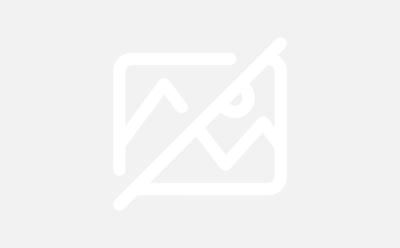 BMI-2500 | Imide extended Bismaleimide powder